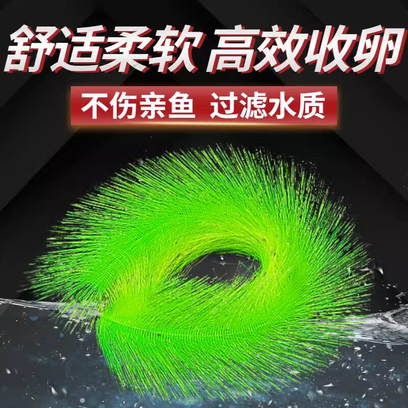 锦鲤产卵草金鱼鱼卵孵化毛刷