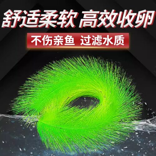 锦鲤产卵草金鱼鱼卵孵化毛刷