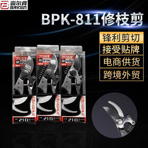 修枝剪刀粗树枝剪果树剪果农摘果园林花园艺剪刀铝合金剪子省力