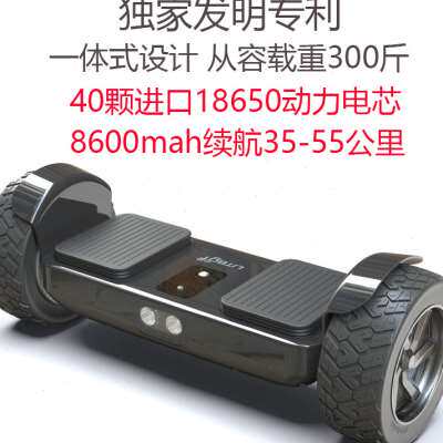 好货litbot小动智能体感两轮代步车成人学生儿童双轮越野电动平衡