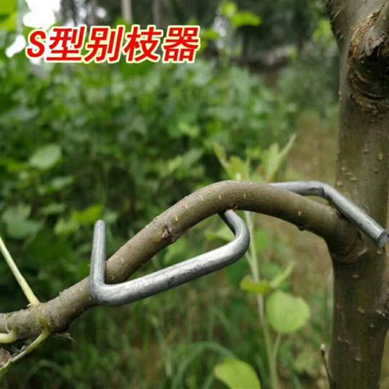 极速技卡扣枝条别拽支专用角分支果树拉枝定型器扭s型绑枝器压弯