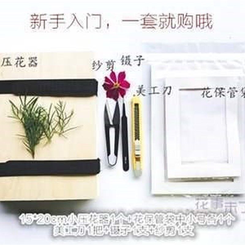 Hand-made lavender flowers baby plant decoration set gift