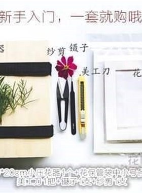 Hand-made lavender flowers baby plant decoration set gift