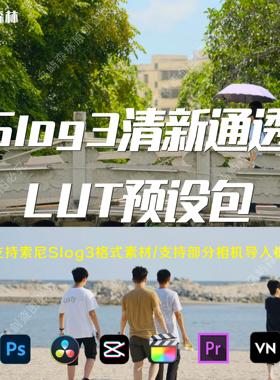 索尼slog3日系/清新/通透感电影风lut人像/宣传片/TVC调色PR/FCPX