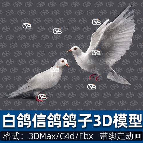 鸽子和平白鸽信鸽鸟飞行动物带动画绑定3d模型cg模型C4D/3dmax