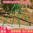 钢管树木支撑杆支架镀锌大树固定器支撑架绿化苗木防风园林绿化
