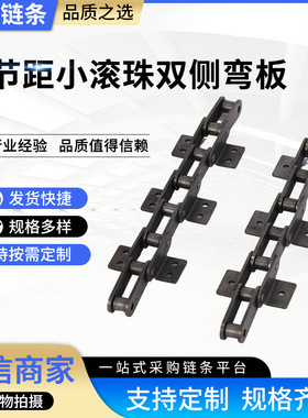 双节距小滚珠双侧弯板 规格齐全 链条双侧弯板链条C208BC212A