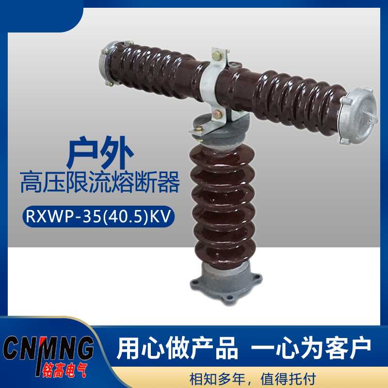 RN1RN2RN3RXWO-35/RW10-35型户外高压限流熔断器35-40.5KV熔断器