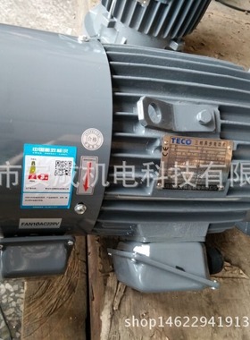 东元电机变频电机1HP 0.75KW  4P AEVFF3立式