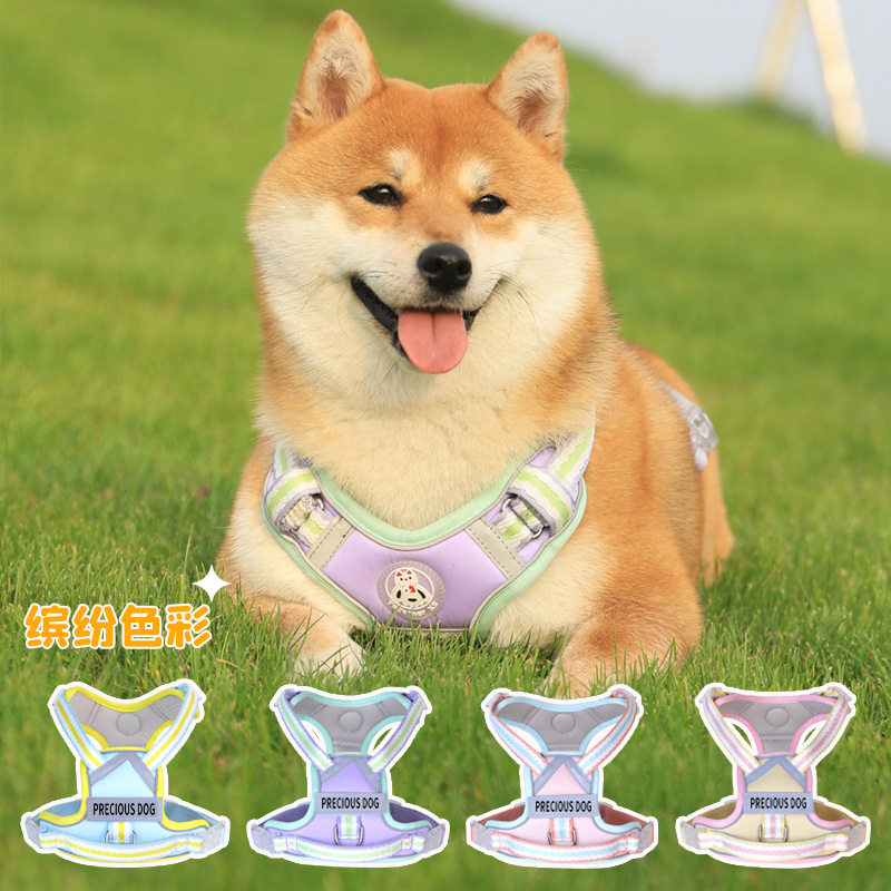 狗狗专用牵引绳小型犬防爆冲夜间反光可调节胸背带工字型狗背带