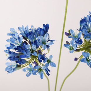 清新田园百子莲仿真花 假花家居婚庆拍摄道具 装饰仿真百子莲花束