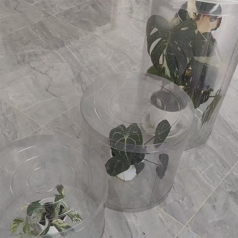 热销大容量爆米花桶,植物闷养桶龟背竹透明塑料桶圆柱形高75直径4