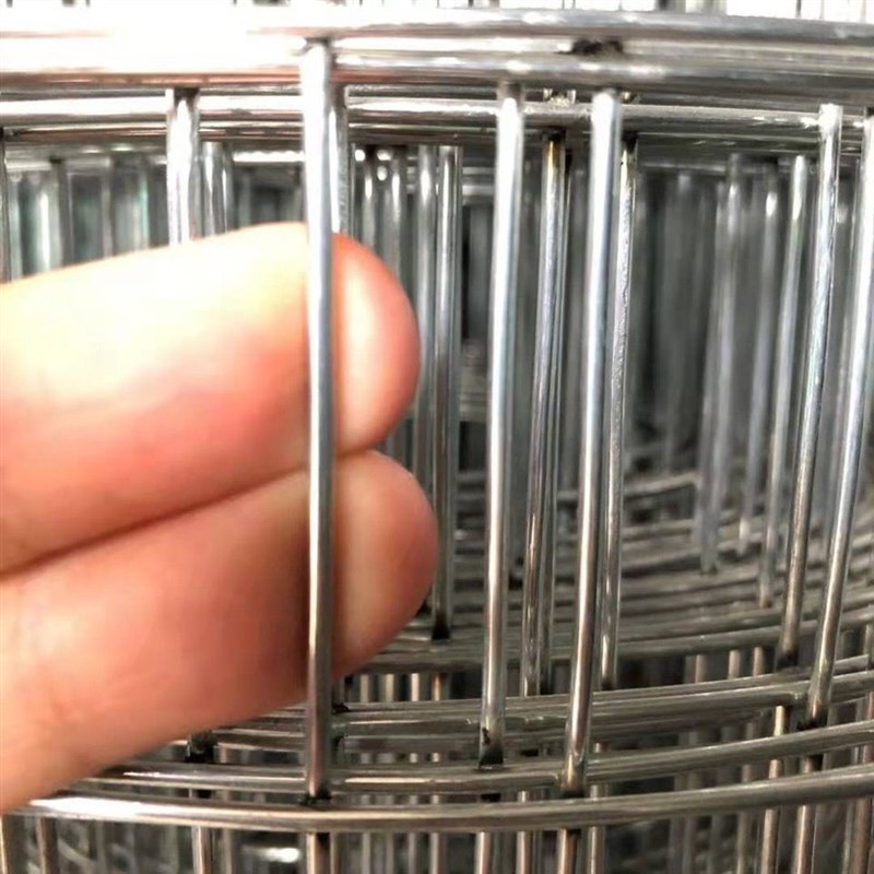 热销现货速发镀锌铁丝电焊网片小孔养殖围栏钢丝网养鸡狗笼兔笼加