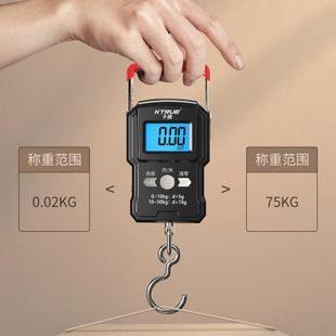 弹簧秤快递秤家用买菜防欺诈吊钩手称 手提电子秤小型高精度便携式