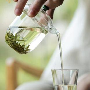 公道杯过滤茶杯绿茶泡茶器日式 台湾禾器简怡快泡杯便携式 茶具玻璃