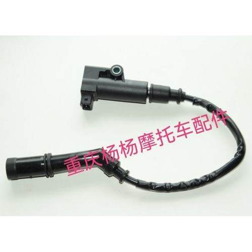 适用钱江闪300-12闪300S高压包火花塞点火器火花塞点火装置线圈