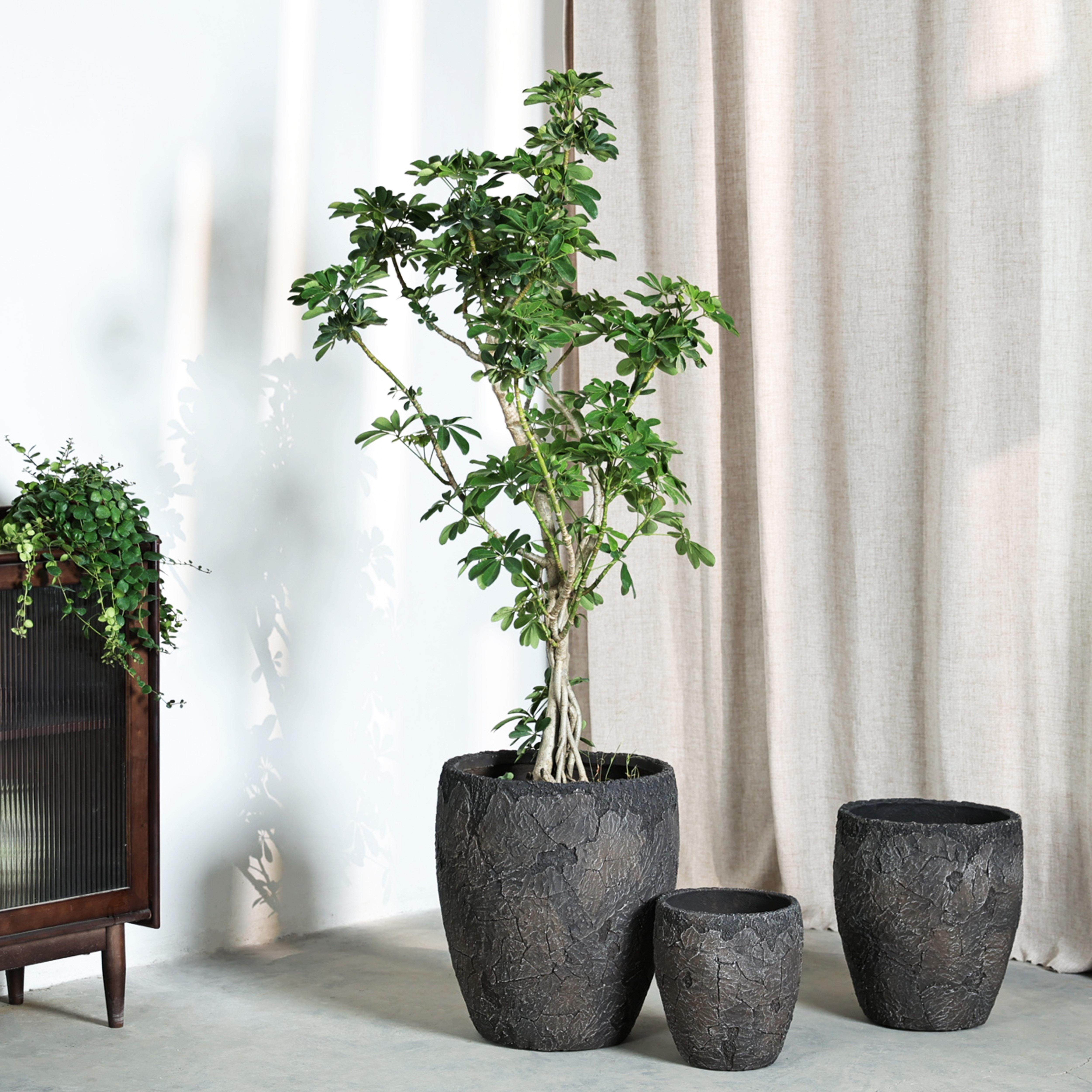 北欧做旧裂纹水泥落地花盆复古特大花器装饰客厅室内外绿植大花盆