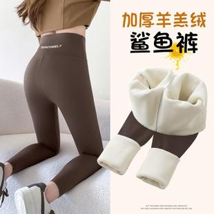 子高腰收腹提臀打底裤 加厚羊羔绒鲨鱼裤 不掉档女外穿秋冬加绒裤