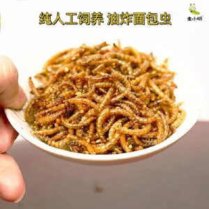油炸面包虫虫子生肉制品