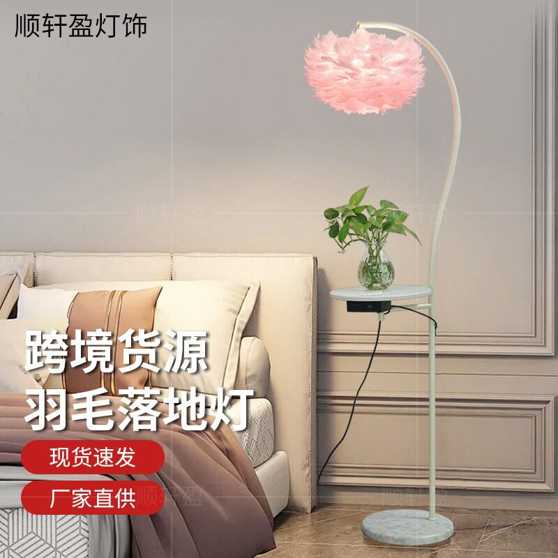 网红羽毛落地灯婚庆路引灯鸵鸟毛北欧ins客厅茶几置物架充电立灯