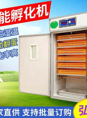 全自三蛋用WDI孵化机528鸡蛋孵枚化器智能动孵化箱大型鸡鸭鹅孵器