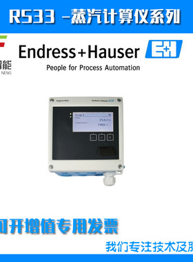 RMS621-21AAA12A1蒸汽计算仪停产替代RS33-AA1+AAD2