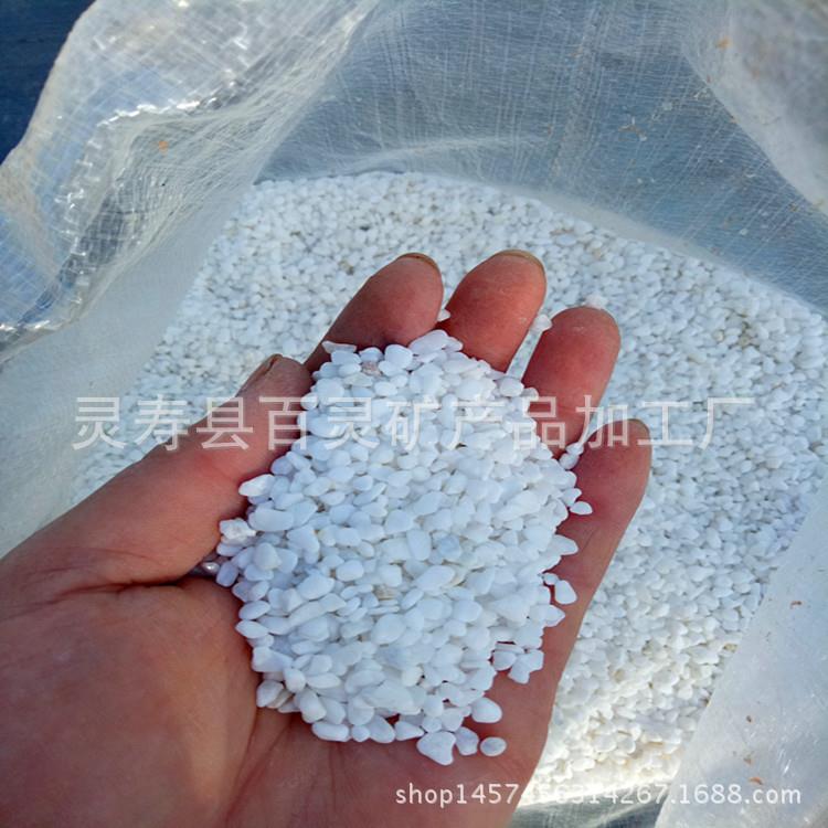 供应各种颜色水磨石子园艺地砖碎石鹅卵石胶粘石白色小石头