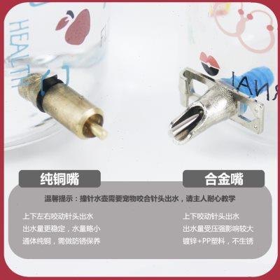 巨无霸撞针水壶1000ml毫升玻璃防烫防漏饮水器龙猫兔子豚鼠猫狗