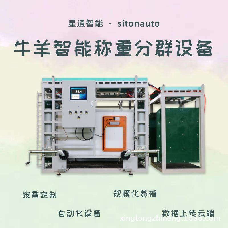 牛羊智能称重分群设备养殖场牧场称重设备牛羊养殖管理助手