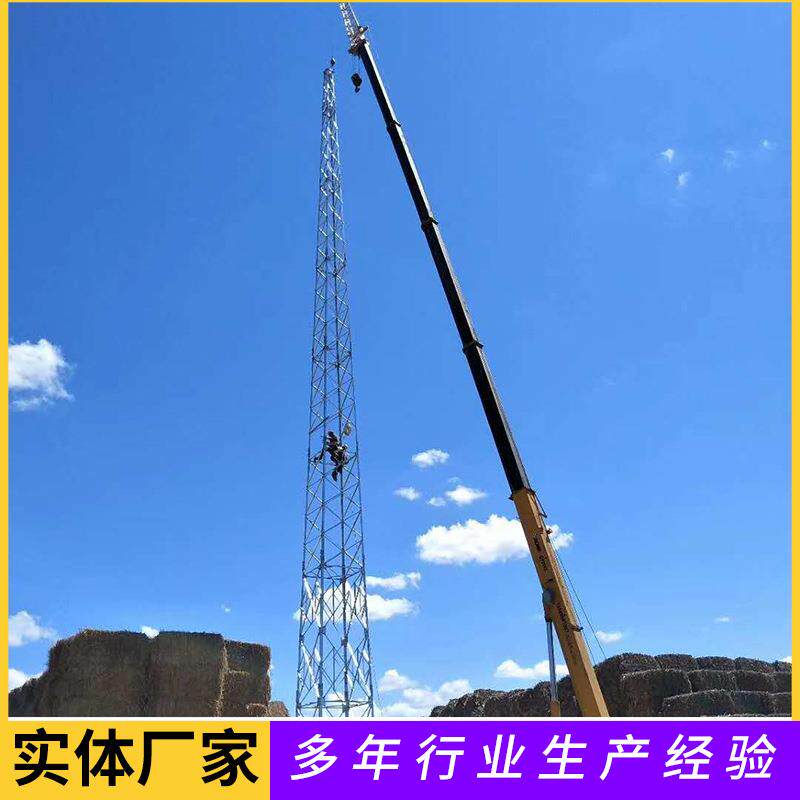 环形钢管避雷塔避雷针塔楼顶装饰避雷塔杆三角避雷塔避雷铁塔现货