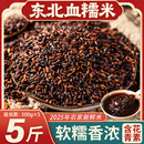 东北血糯米25年农家新米黑糯米紫米芋泥奶酪米糕饭团奶茶商用酒酿