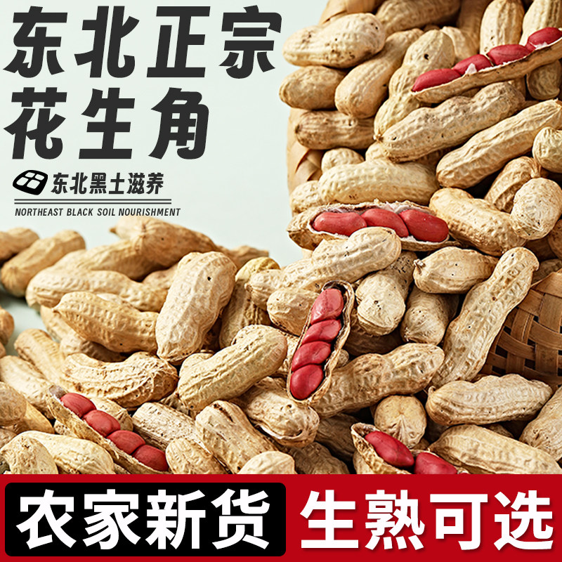 东北红皮花生2026年农家新鲜不带壳原味晒干四粒红花生米生熟可选