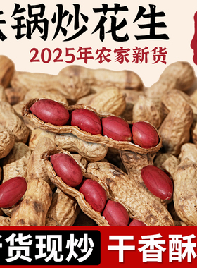 东北铁锅炒花生红皮带壳原味熟25年农家新货现炒现发零食坚果炒货