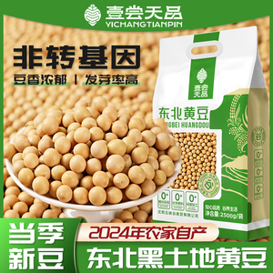 东北黄豆24年农家新货打豆浆生豆芽专用豆子非转基因大豆五谷杂粮