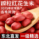 东北红皮花生米25年农家新货晒干小粒红衣不带壳新鲜四粒红花生仁