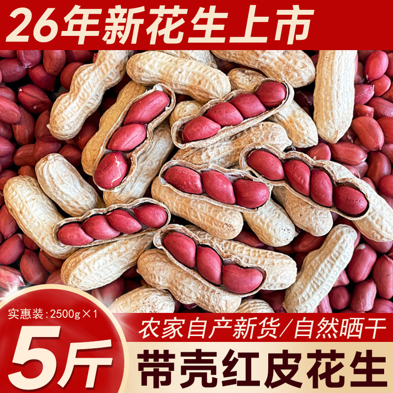 东北红皮衣花生米26年农家新货带壳新鲜晒干四粒红花生米生熟可选