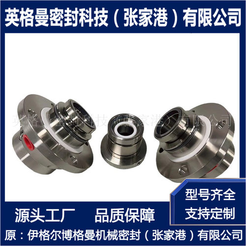 适用于安德里茨压力筛  SE1F-AP-60-QRVO机械密封 厂家直供