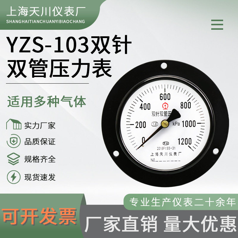 YZS-103轴向带边双针双管水压表
