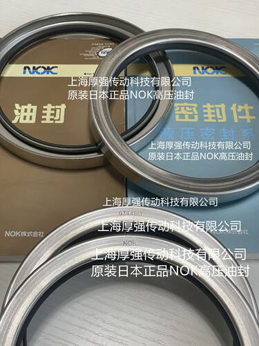 日本NOK不锈钢四氟高压油封