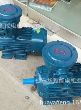 制动YE4EJ-225S-4-37KW电机制动Y2EJ电机IP54/F级采用YBX3零部件