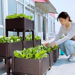 家庭蔬菜种植箱阳台楼顶户外种菜顶楼特大屋顶室内省空间