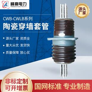 供应高压穿墙套管CWB-CWLB高压陶瓷穿墙套管控制与保护