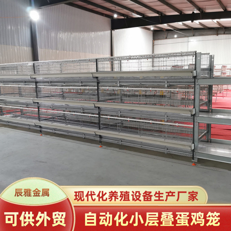 农场养鸡智能自动化养鸡设备蛋鸡笼全自动集蛋上料清粪蛋鸡笼子