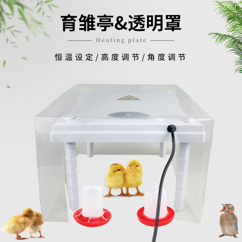 跨境鸡育雏亭宠物取暖加热板小鸡带保温透明罩育雏器可调高度