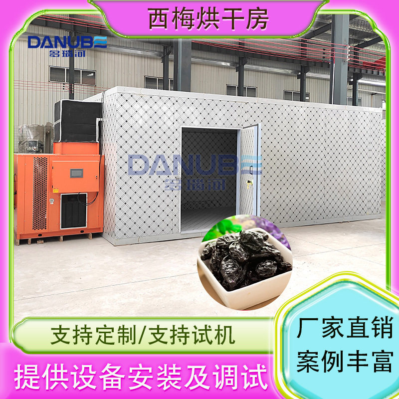 生物质颗粒西梅烘干清洗生产线