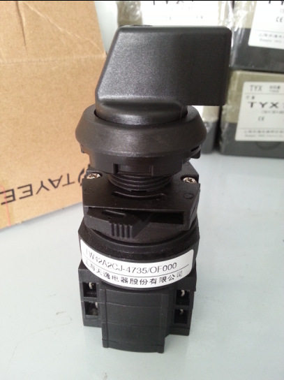 TAYEE天逸选择开关20A中心安装LW42A2CJ-4735/O圆头侧接线