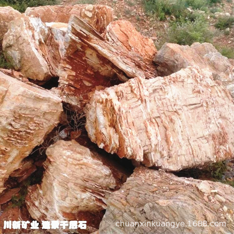 批发造景石千层石园林别墅庭院景观石绿地假山石鱼缸造景千层石