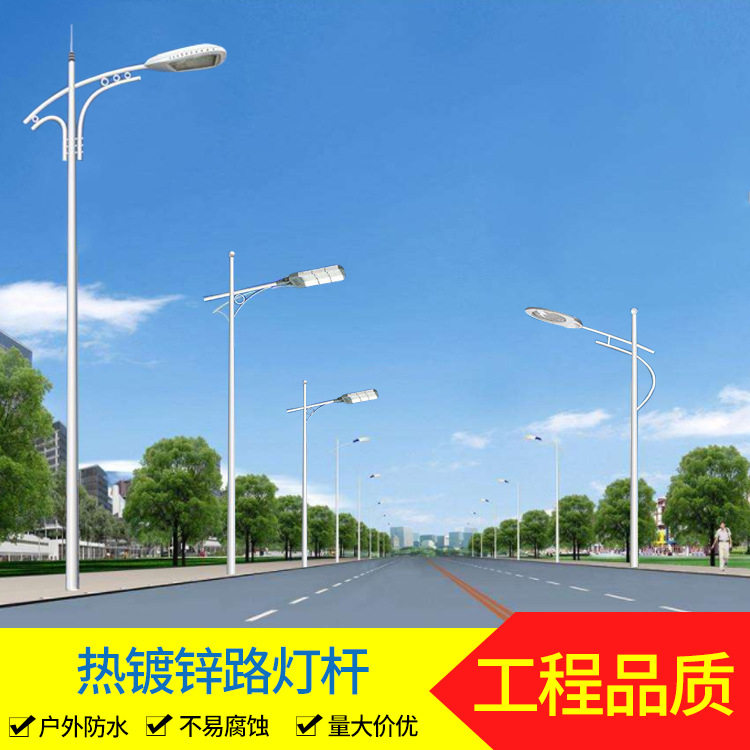 超亮LED路灯单双头新农村小区