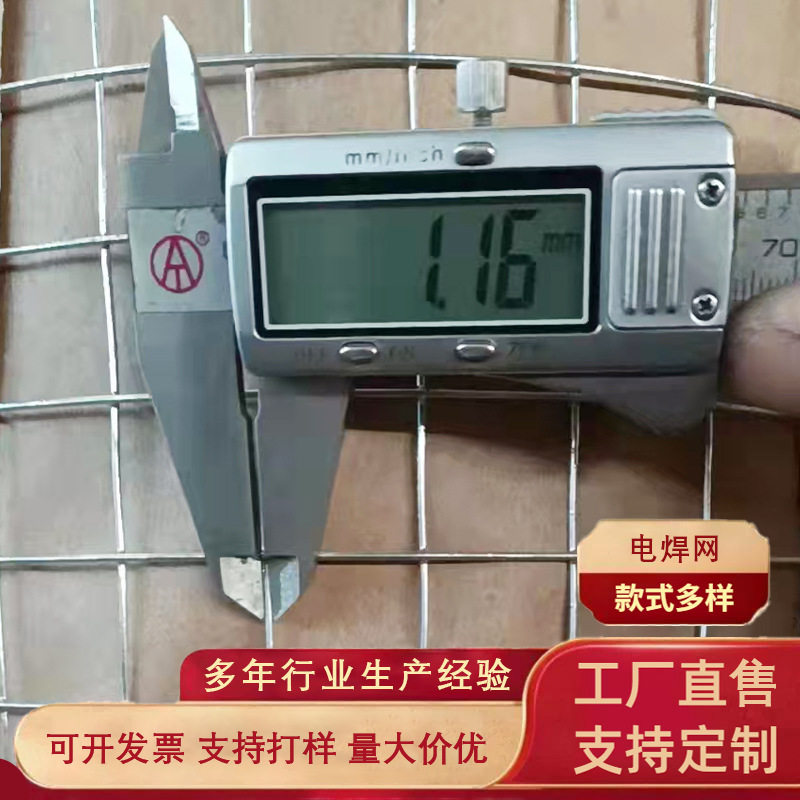 电焊网整卷批发铁丝网焊接筛网防护隔离方格网围栏钢丝网养殖网