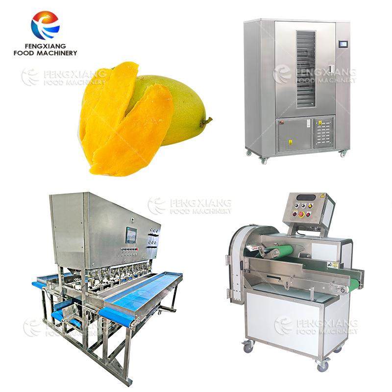 芒果小型冬瓜木瓜削皮切片烘干设备
